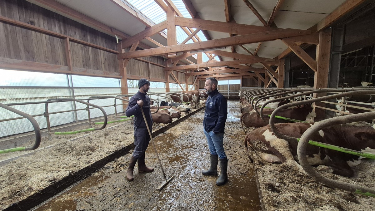 Façade mobile : avoir un bâtiment pour l’été et l’hiver 