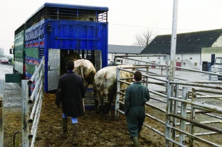 Les négociants veulent faciliter les transits