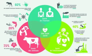 La prévention nécessaire d’un risque constant