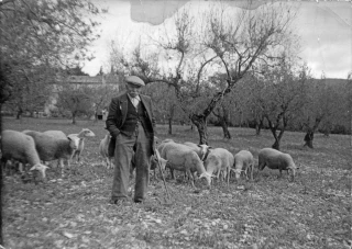 Février 1956, un hiver qui a meurtri l’agriculture française