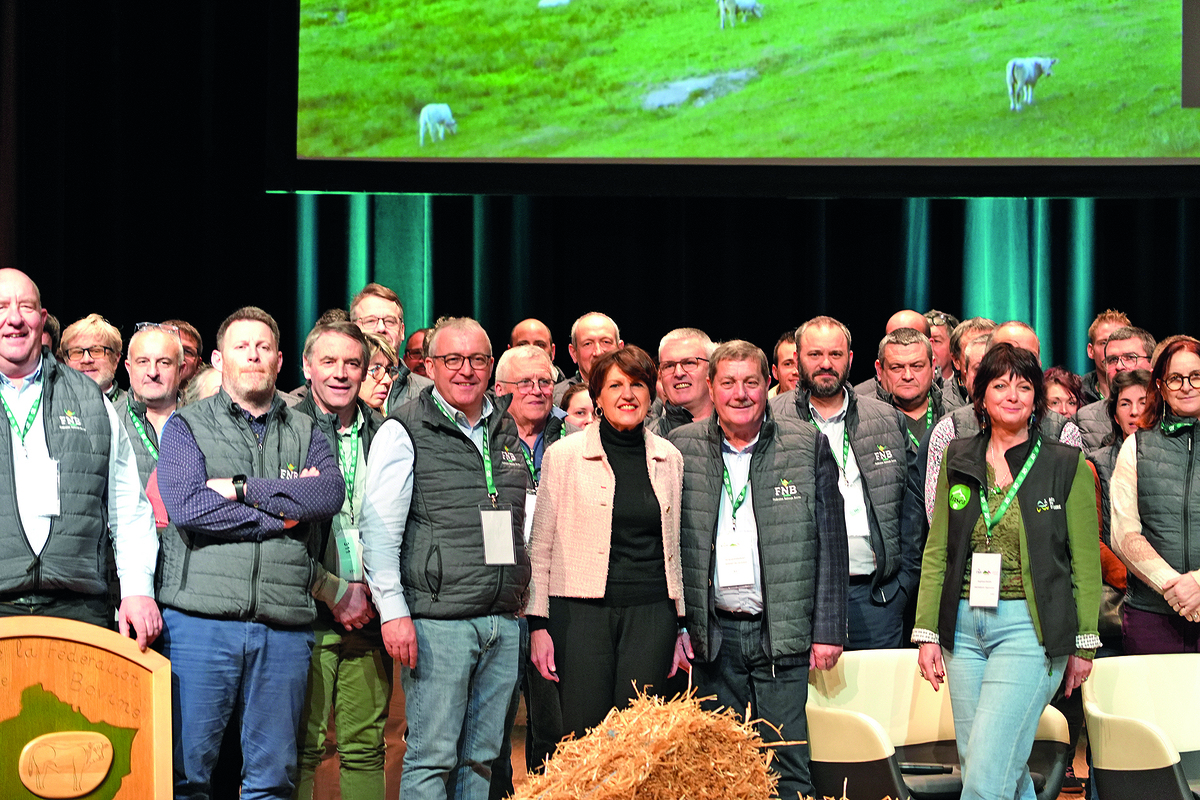 Les éleveurs de bovins allaitants en mode reconquête