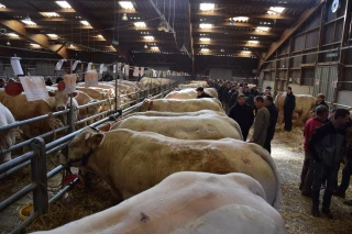 Journée de l’élevage et concours primé le 5 mars