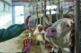 Des précisions sur la vaccination pour 2026