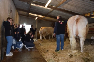 Les charolaises feront quand même parler d’elles !