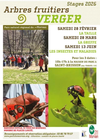 Stage pour l’entretien des vergers en Morvan : la taille