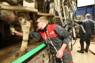 L’apprentissage, une valeur sûre de la formation