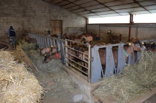 S’entraider, s’informer, se défendre…