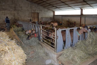 S’entraider, s’informer, se défendre…