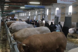 Un contexte inédit, mais une mobilisation sans relâche