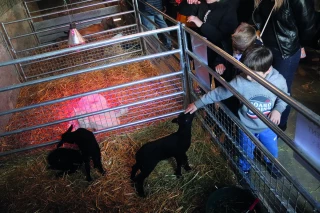 Le comice déroule le tapis rouge pour les jeunes générations