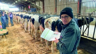 Les holsteins du plateau, un troupeau au très haut niveau génétique