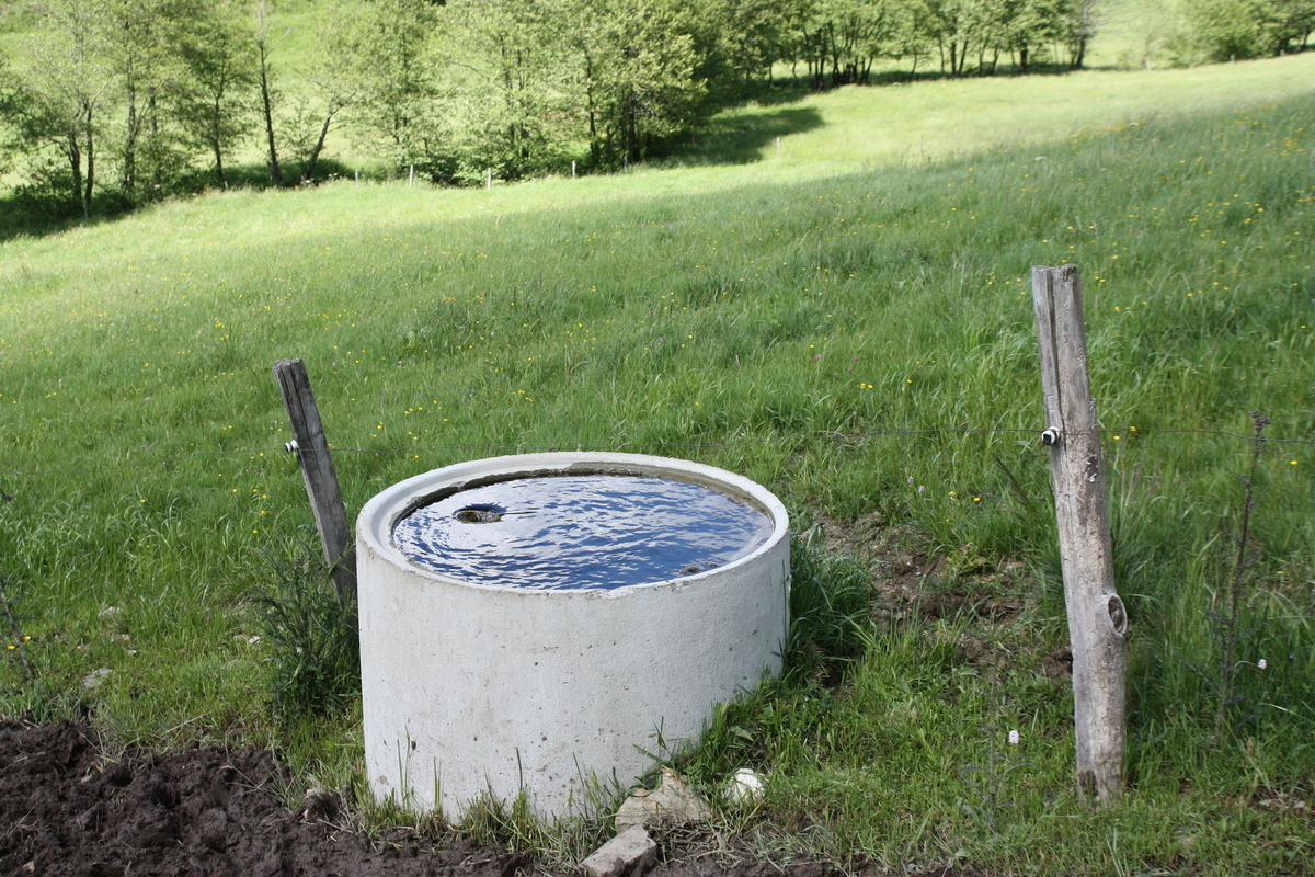 Abreuvement - de l'eau en quantité suffisante au pâturage