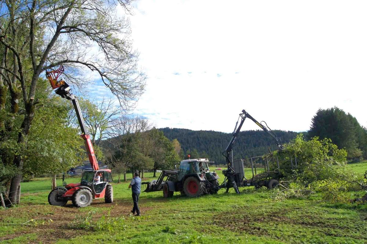L'interdiction de tailler les haies prend effet à partir du 16 mars 