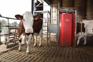 Quand pâturage et robot de traite font bon ménage !