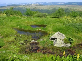 Les Safer se mobilisent sur la gestion de l’eau