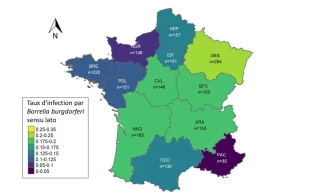 La circulation des agents pathogènes en France