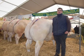 La qualité est encore prisée…