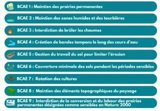 Ouverture de Télépac le 1er avril