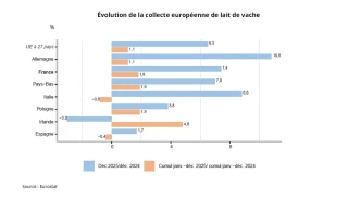 Reprise marquée de la collecte de lait en janvier