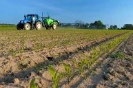 Désherbage des maïs : adapter les programmes à la parcelle pour préserver les molécules restantes