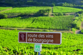 Vin : le bourgogne porté par des marques accessibles 
