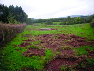 Les dégâts de gibier, toujours sources de tension