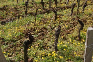 Sans cuivre, c’est coton