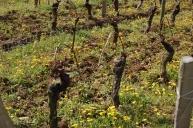 Sans cuivre, c’est coton