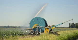 Le bilan hydrique : un outil pour optimiser la gestion de l’irrigation 