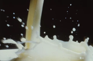 Malgré les demandes, Bruxelles maintient son cap