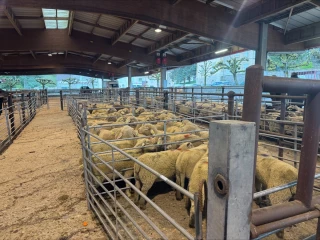 Le Cadran ouvert aux ovins et caprins