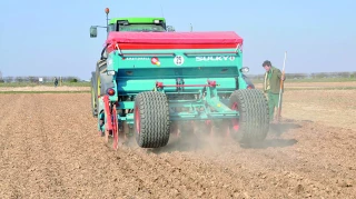 Céréales : le marché dans l’expectative pour la prochaine campagne