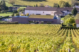 Un siècle d’histoire et pilier du collectif Mâconnais