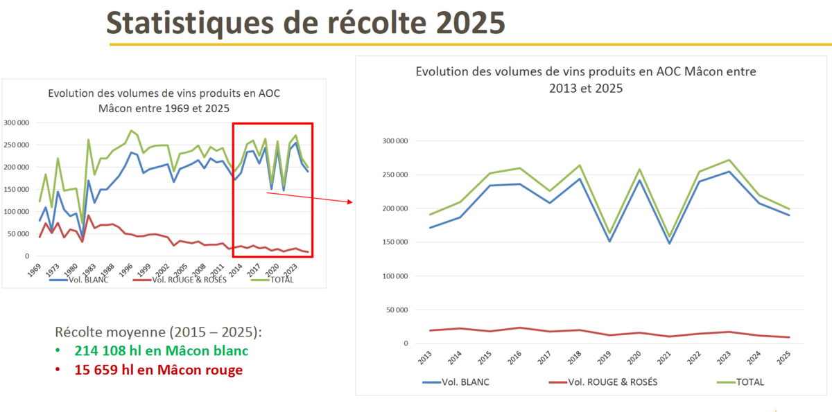 La rentabilité au cœur des préoccupations économiques