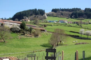 Deux lois sans effet notable