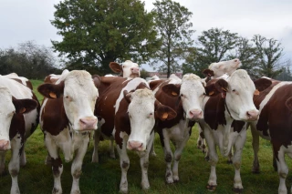 Une formule de prix qui sécurise les producteurs