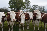 Une formule de prix qui sécurise les producteurs