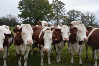 Une formule de prix qui sécurise les producteurs