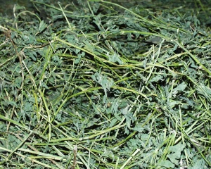 La filière française amorce sa reconquête