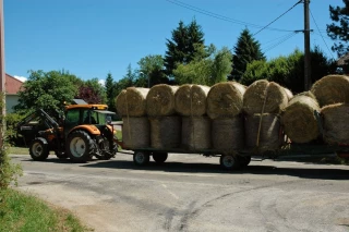 Circulation : les règles à ne pas négliger