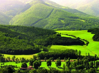 Forêts européennes : six mégatendances pour une rupture stratégique