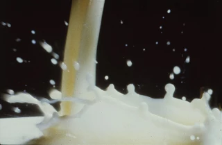 Le lait cru en pleine crise existentielle