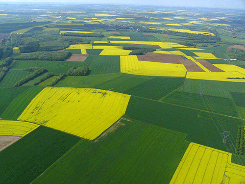 Statut du fermage : un outil pertinent à dépoussiérer