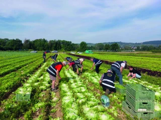 Solaal : des dons en hausse, mais un modèle à consolider