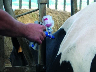 DNC : top départ pour la vaccination 2026