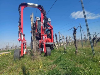 Choisir son matériel de travail du sol en viticulture