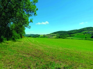 Paysages de campagne