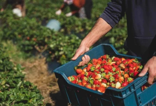 Le réseau FNSEA au service de tous les employeurs agricoles