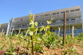 L’ABC Davayé va tester l’agroforesterie grandeur nature