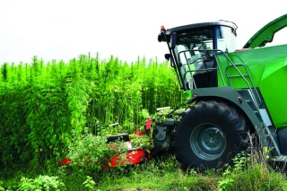 Les produits alimentaires contenant du CBD interdits depuis le 15 mai